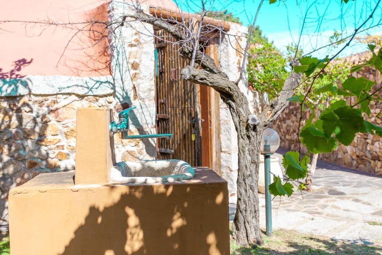 B&B Pettirosso Garden San Teodoro  Dış mekan fotoğraf