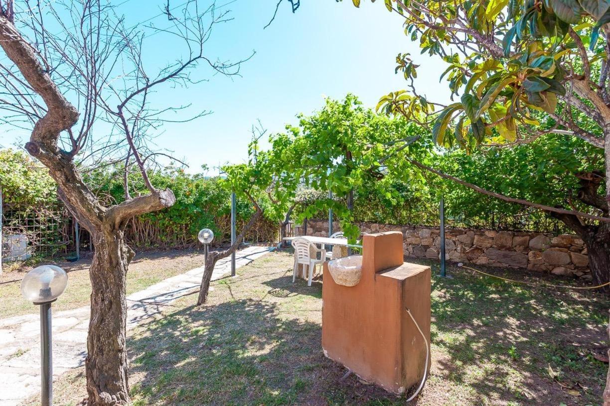 B&B Pettirosso Garden San Teodoro  Dış mekan fotoğraf