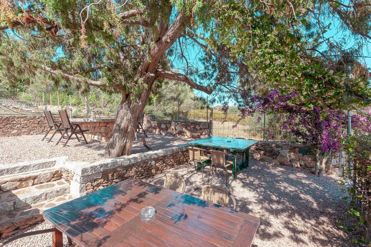 B&B Pettirosso Garden San Teodoro  Dış mekan fotoğraf