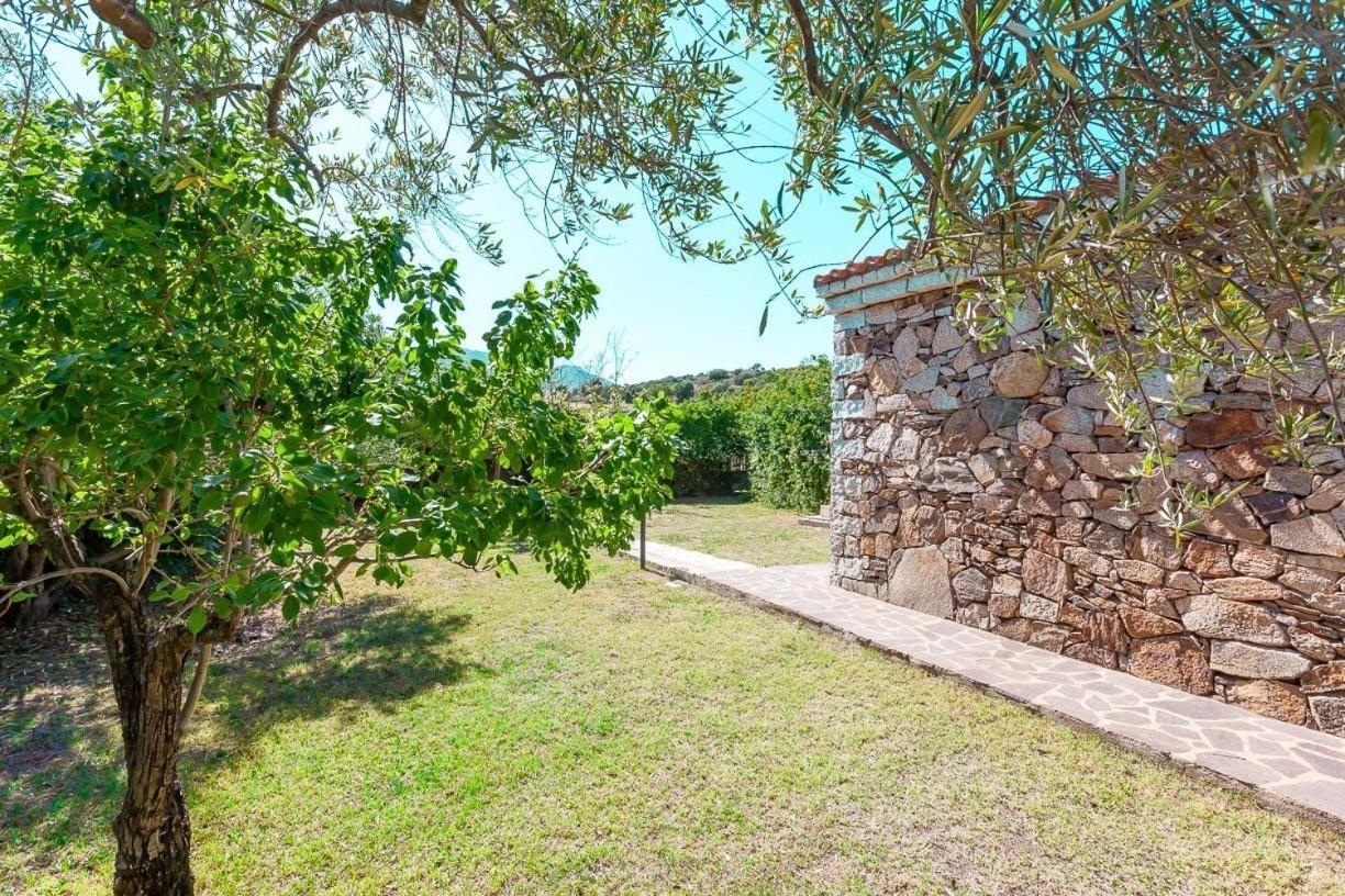 B&B Pettirosso Garden San Teodoro  Dış mekan fotoğraf