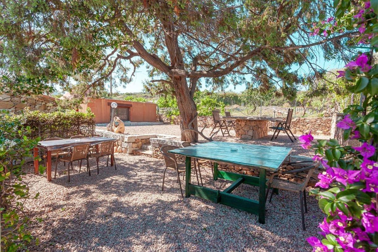 B&B Pettirosso Garden San Teodoro  Dış mekan fotoğraf