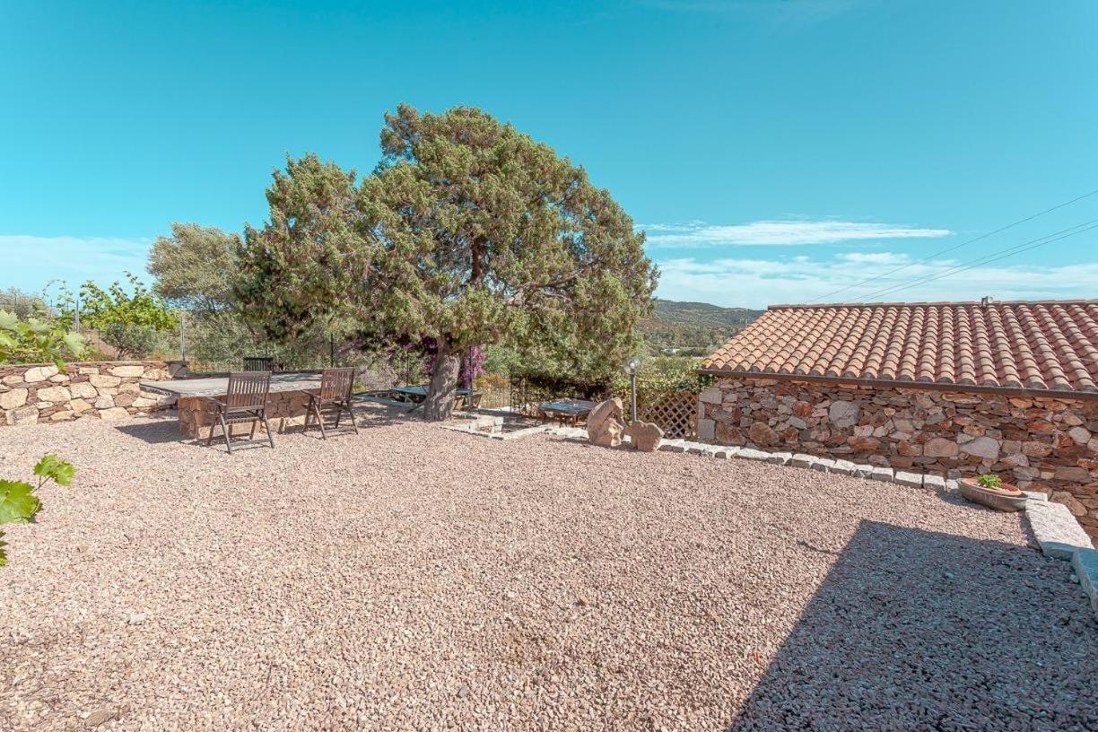 B&B Pettirosso Garden San Teodoro  Dış mekan fotoğraf